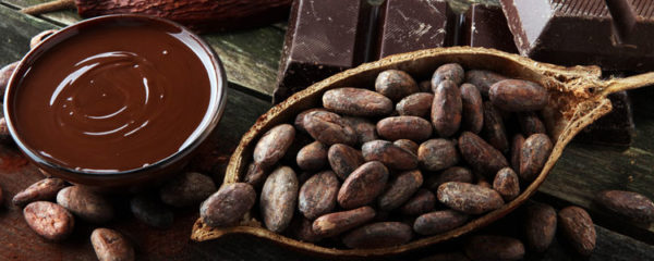 Chocolat bean to bar